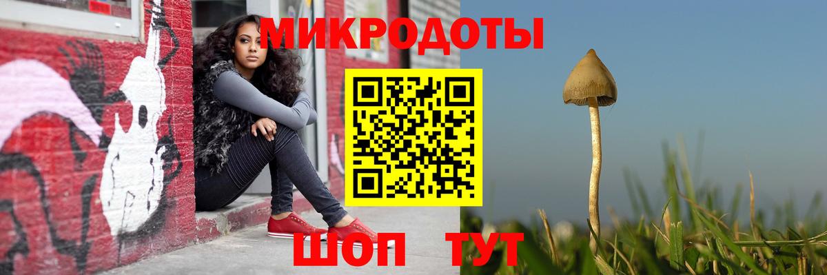 Псилоцибиновые грибы GOLDEN TEACHER Дивногорск